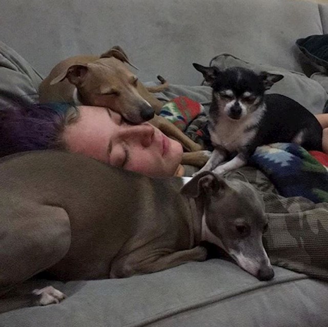 11. Jenna Marbles pokazuje pravi način spavanja s psima.