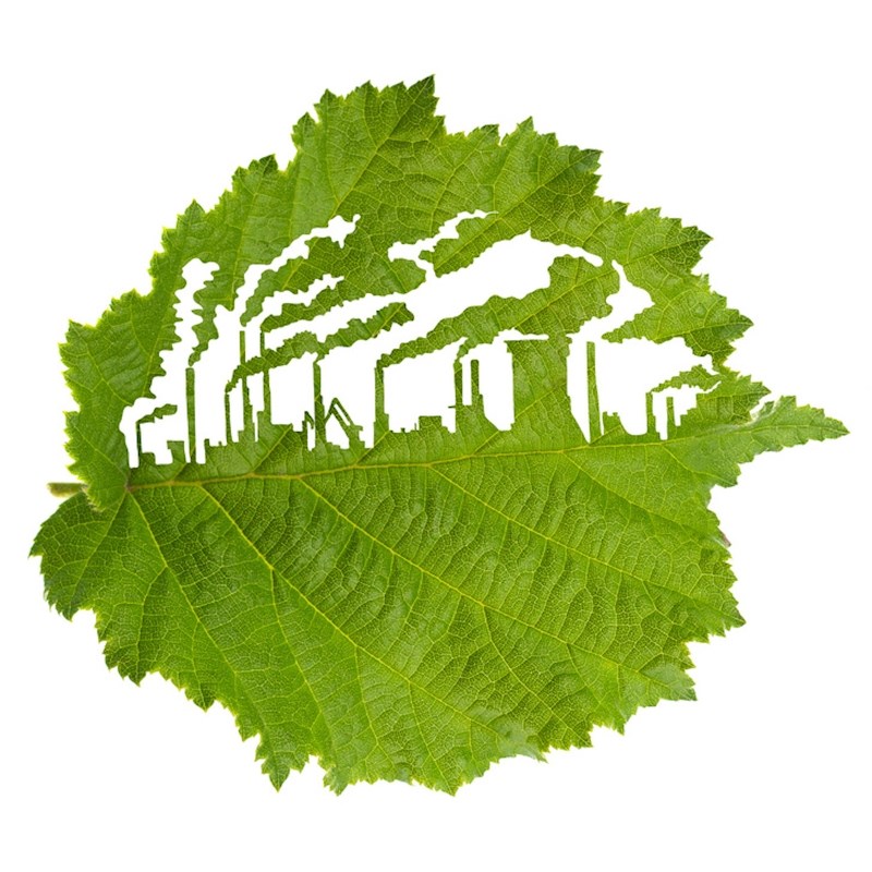 Ljudske tvornice ubijaju biljke.