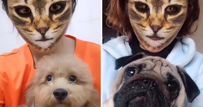 VIDEO Pogledajte reakcije pasa kada vide mačji filter na licima svojih vlasnika