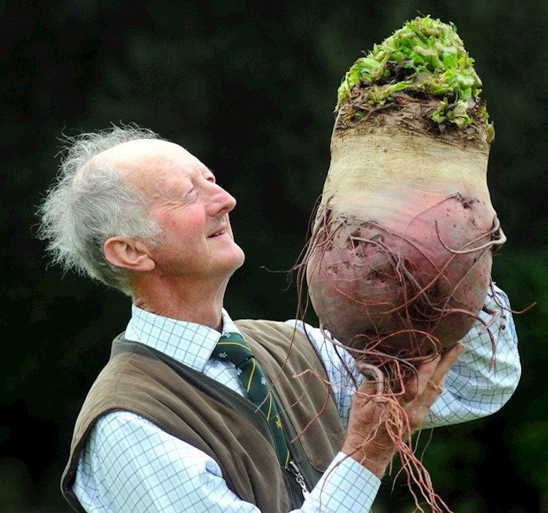 „Imam sretnu obitelj, automobil i kuću, ali osjećam se kao da mi nešto nedostaje kada vidim kako ovaj farmer gleda svoje repe."
