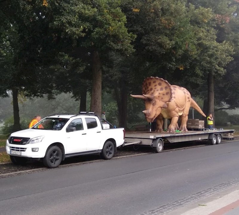 "Danas sam vidio Triceratopsa u svom gradu."