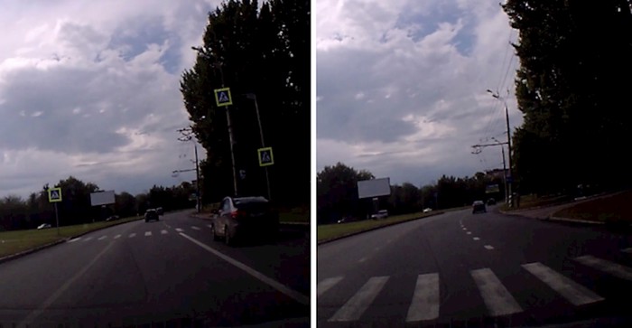VIDEO Zaustavio se na pješakom prijalazu, a onda ugledao neočekivanog prolaznika