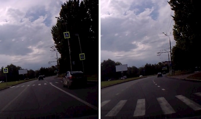 VIDEO Zaustavio se na pješakom prijalazu, a onda ugledao neočekivanog prolaznika