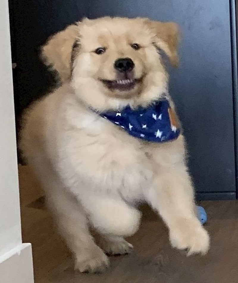 1. "Čuo je kad sam otvorio vrećicu s poslasticama."