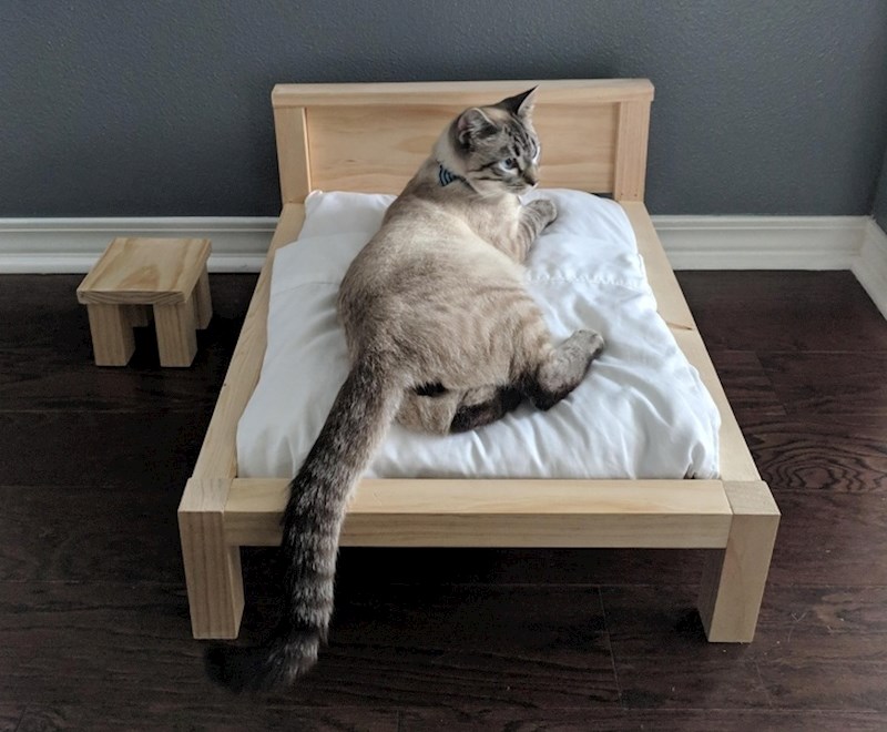 1. “Muž je rekao da će napraviti okvir za krevet. Ispada da je to bilo za mačku."