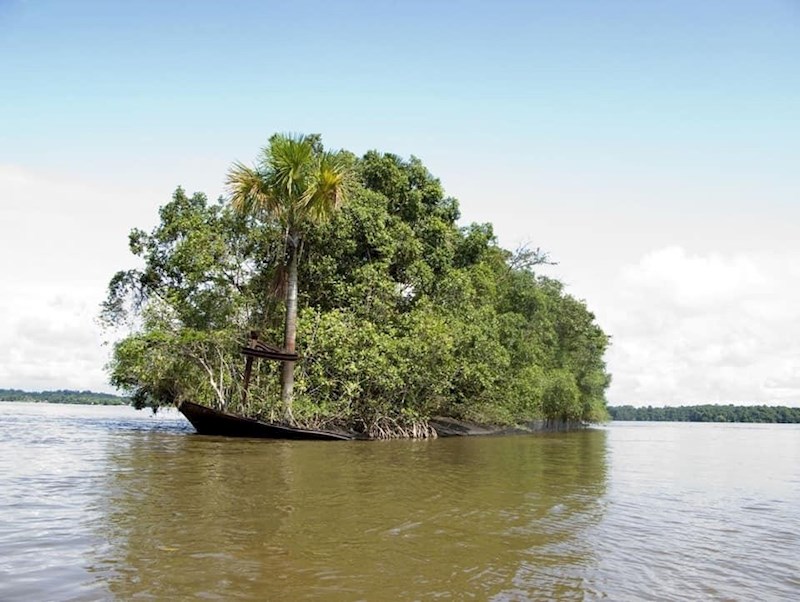 Kad priroda napravi svoje! :)