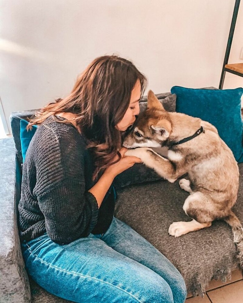 Alida ju je socijalizirala. Kira je upoznala puno ljudi, pasa i išla u svakakve avanture, kako bi bila navikla na suvremeni svijet i ne bi se bojala svoje okoline.