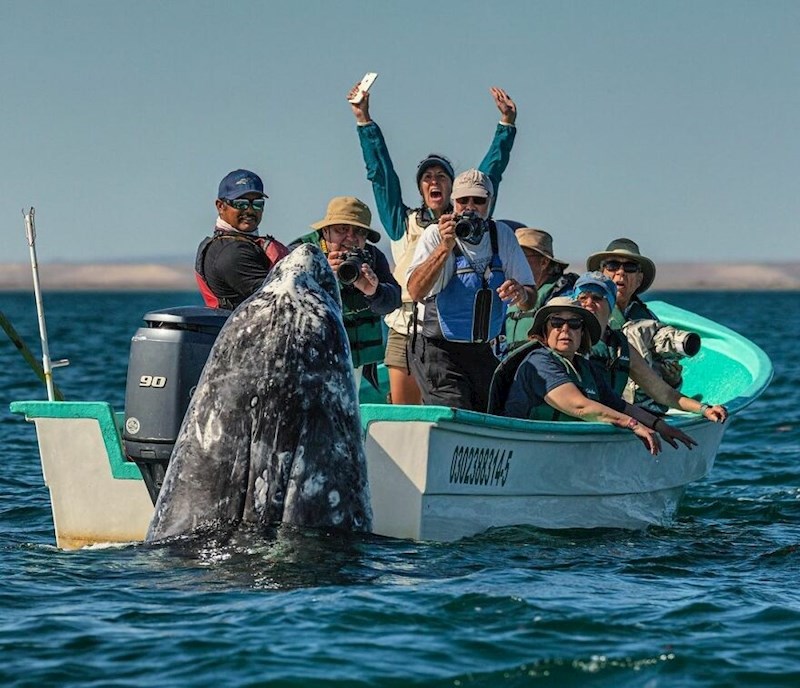 A onda je na površinu izašla i njegova majka!