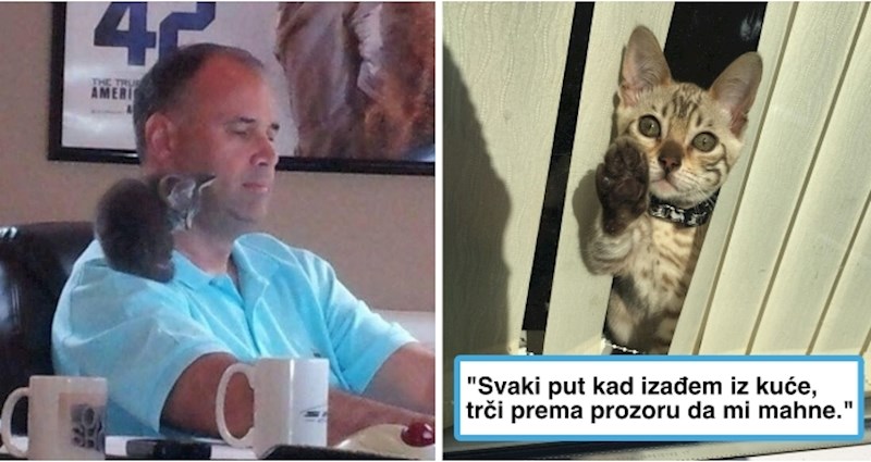 16 kućnih ljubimaca čiji su znakovi ljubavi više od maženja i ljubljenja