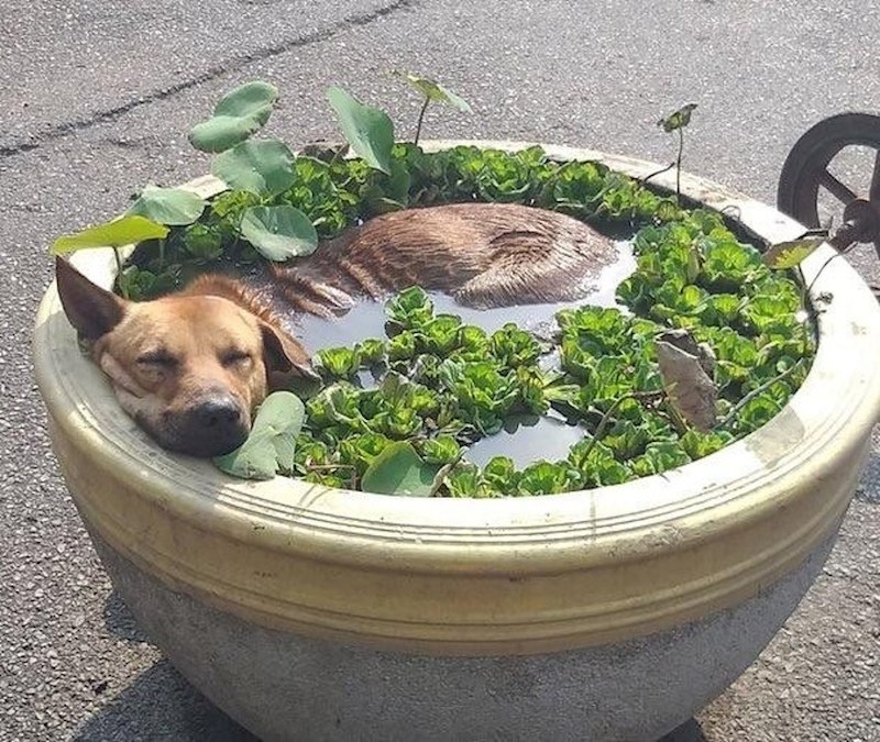 U stvari, svaka kupka koju nađete bit će dobra.