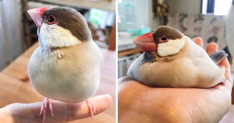 1. Instagram i stvarni život.