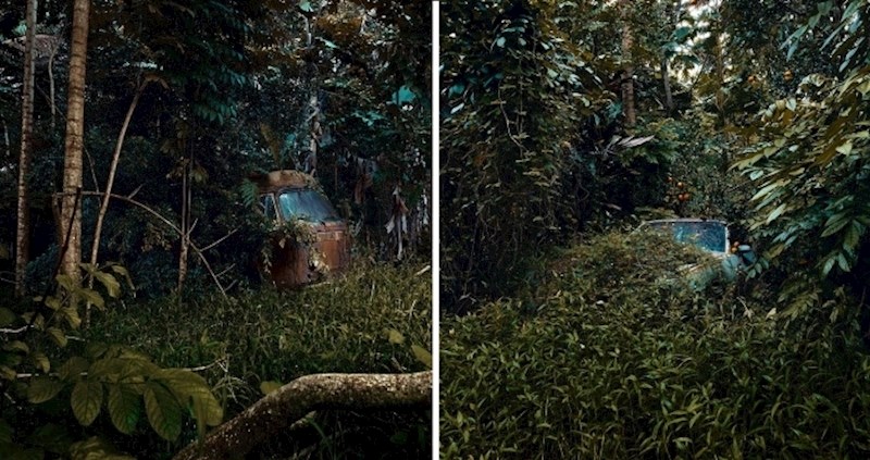 Na Havajima veliki problem stvara nelegalno odlaganje automobila