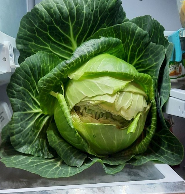 Osmijeh koji vas dočeka kad otvorite hladnjak.