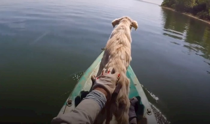 VIDEO Prekrasna priča o tome kako je čovjek spasio psa s napuštenog otoka