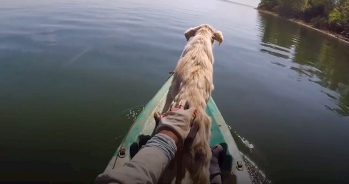 VIDEO Prekrasna priča o tome kako je čovjek spasio psa s napuštenog otoka