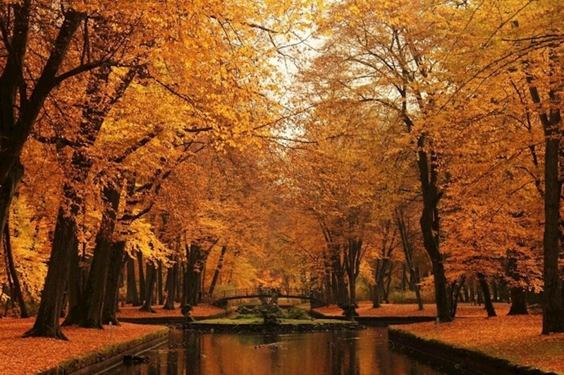 7. Bayreuth, Njemačka