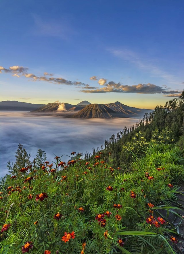 Prekrasni jutarnji pogled na planinu Bromo.