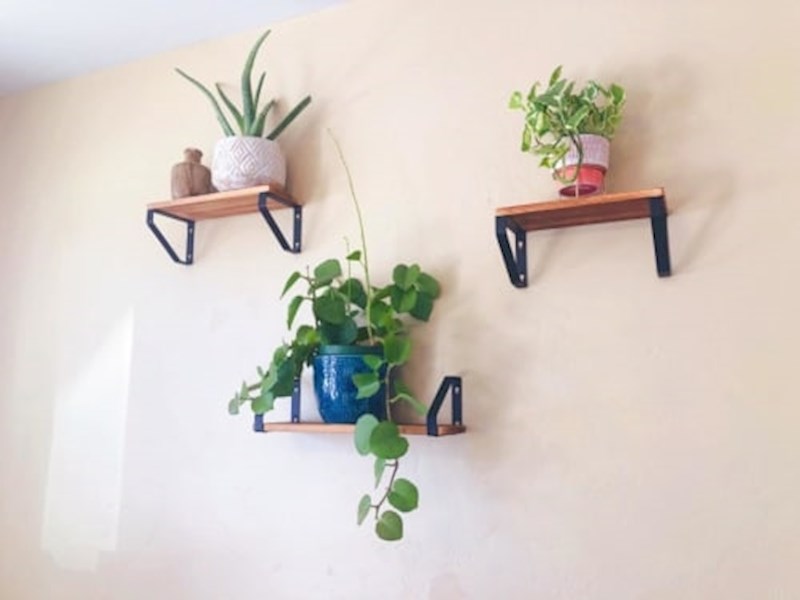 Drvene police izvrsne su za postavljanje vaših biljaka.