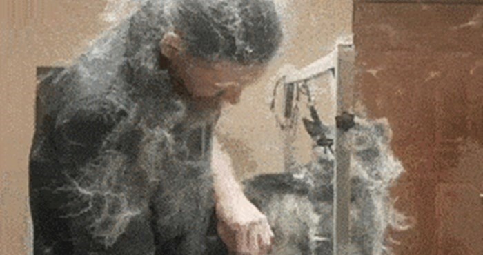 Snimka koja dokazuje kako frizer za pse i nije baš jednostavan posao
