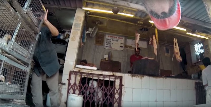 Miris hrane ga iskušava.