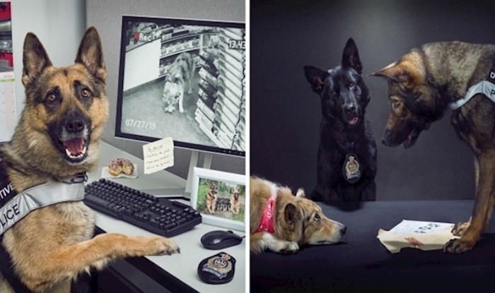 Ovaj fotograf imao je zadatak napraviti kalendar za londonsku policiju sa psima u glavnoj ulozi