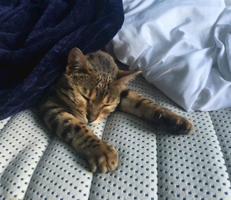 Kad čujete da vam alarm zvoni, ostanite u krevetu još nekoliko minuta. Svijet može čekati.