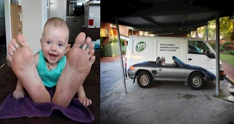 15 fotki koje će vas sigurno dovesti do krivog zaključka