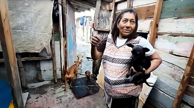 Unatoč životu koji se prema njoj oštar,  ona ima dobro srce i nada se da će joj vlada donirati mjesto kako bi mogla spasiti još više pasa.