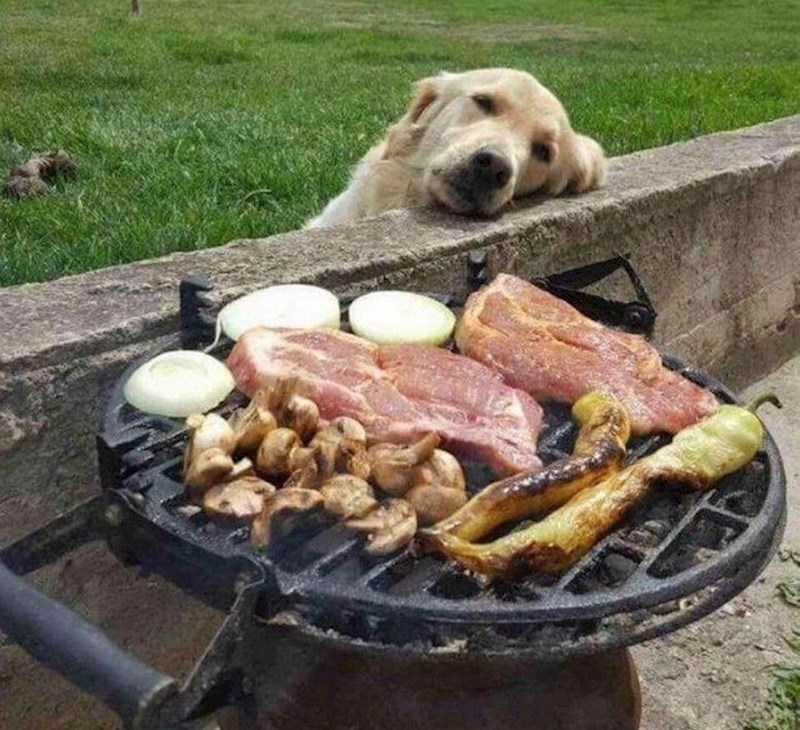 Slasni snovi prijatelju!