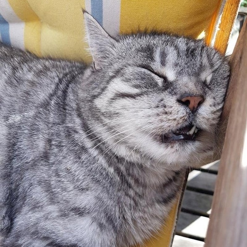 Kad san preuzme, predajte mu se.