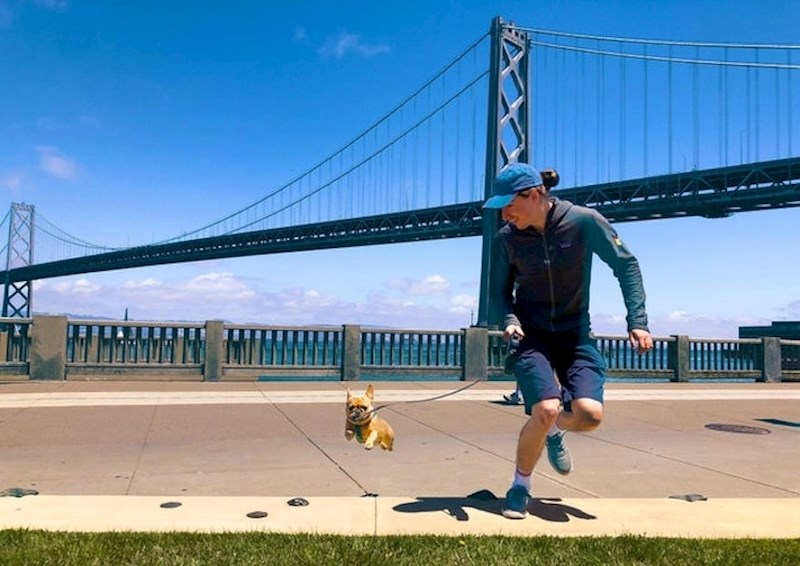 Tko je rekao da buldozi ne mogu letjeti?