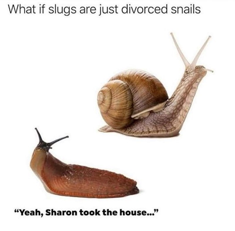 "Što ako su puževi golaći samo rastavljeni puževi?"