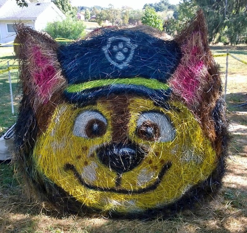 Chase iz crtanog filma „Paw Patrol"