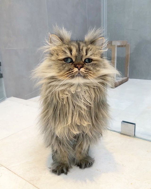#12