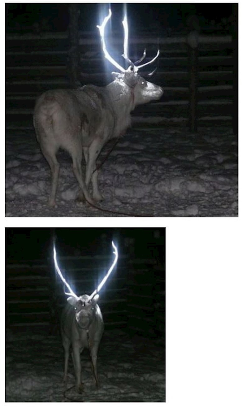 Ako će ih tako spasiti, svaka čast!