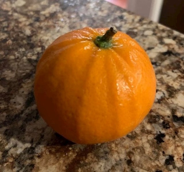 "Moja naranča izgleda poput bundeve."