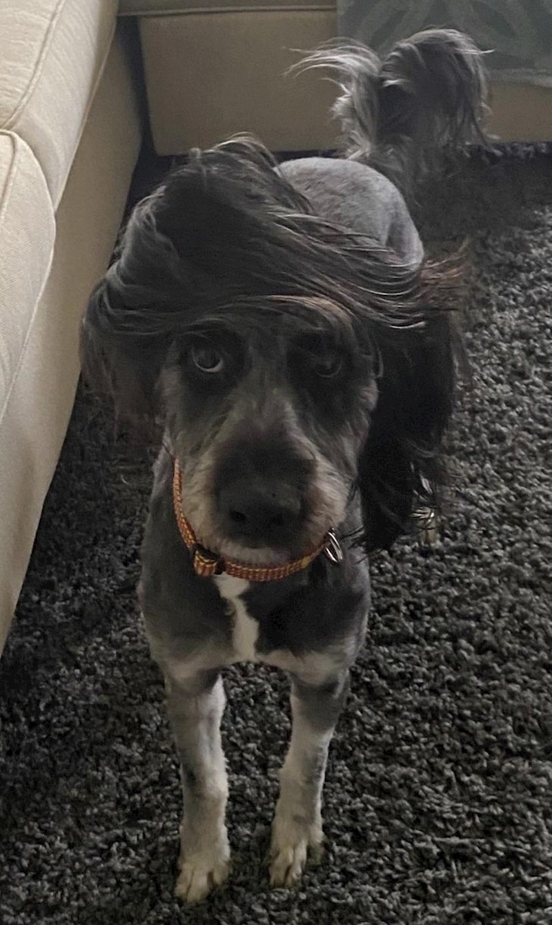 8. "Njezino uho ponekad se preokrene u vrlo zanimljiv tupe!"