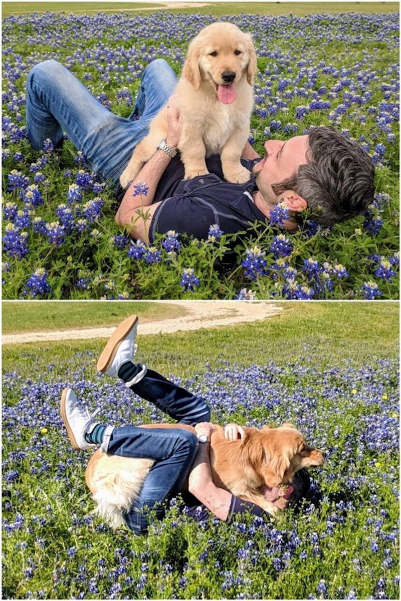 “Pokušao sam ponovno stvoriti fotografiju od dana kad smo prije godinu dana donijeli štene kući. Nije išlo kako sam planirao.”