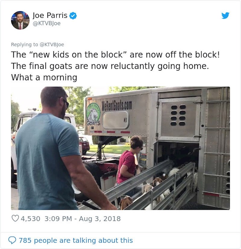 Nakon nekoliko sati potrage za njima, pronašli su ih u obližnjem susjedstvu i vratili ih natrag u rezervat.