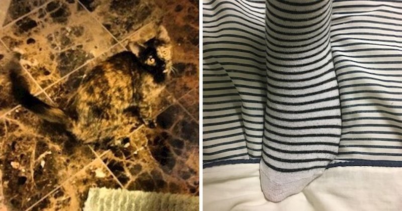 Fotke na kojima se sve na genijalan način savršeno poklopilo