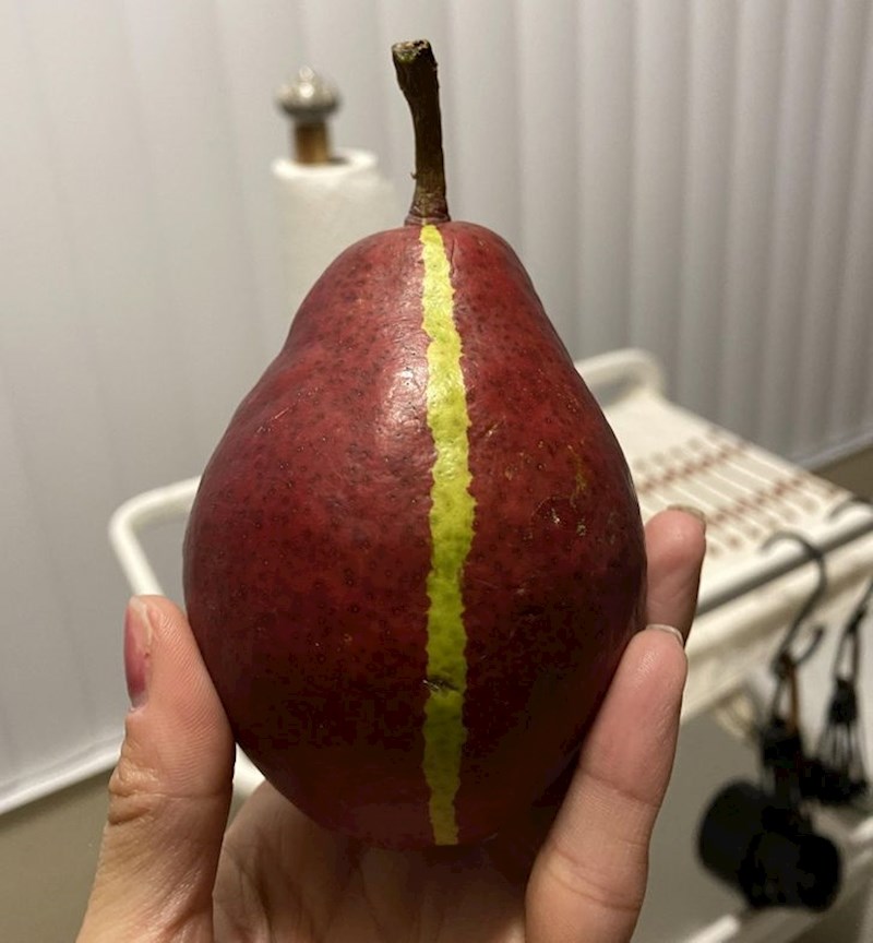 "Ova crvena kruška s jedne strane ima komadić zelene kore, koji je dijeli na pola."