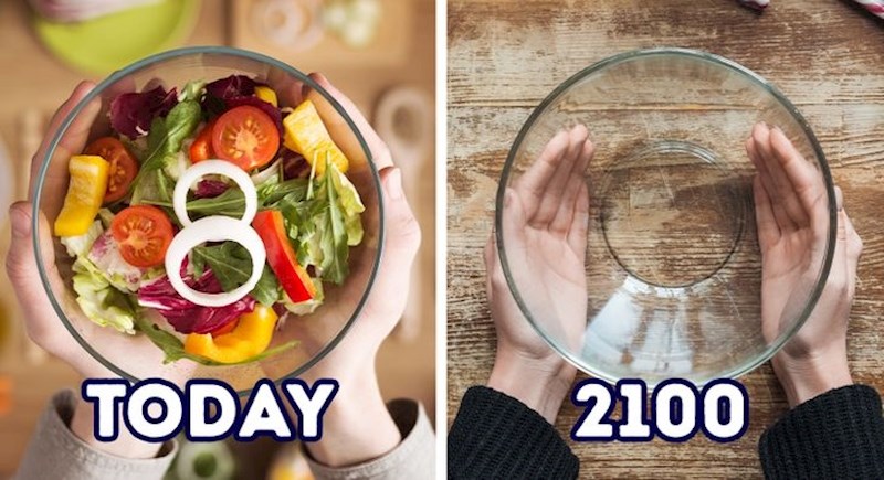 5. Ljudi bi mogli ostati bez hrane do 2100.