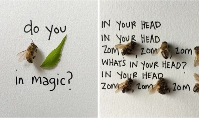 Ova umjetnica vraća insekte u život čineći ih dijelom svojih maštovitih ilustracija