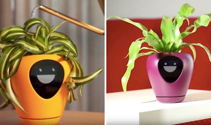 VIDEO Uz ovu pametnu posudu za cvijeće uvijek će te znati raspoloženje vaše biljke