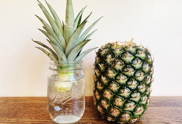 #10 Ananas