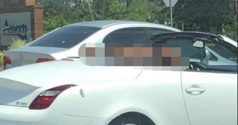 Trebat će vam neko vrijeme da shvatite o čemu se zapravo radi na ovoj fotografiji