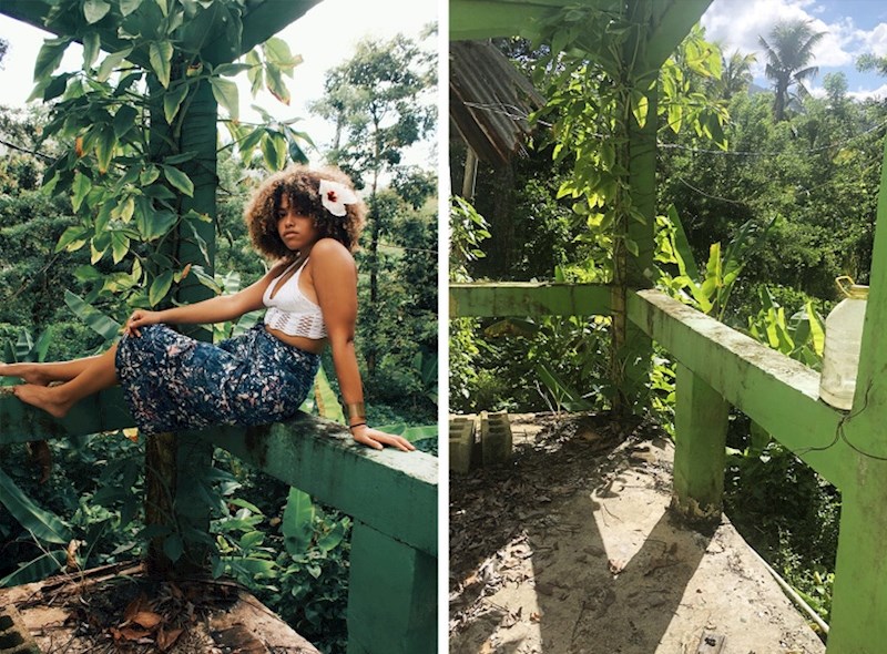 Ova fotografija kao da je nastala u prašumi.