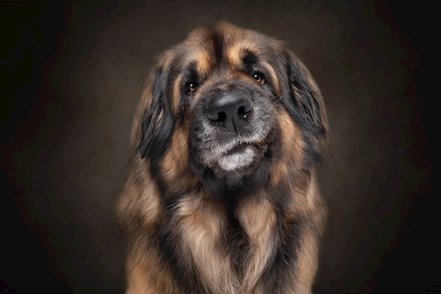 #2 Loki