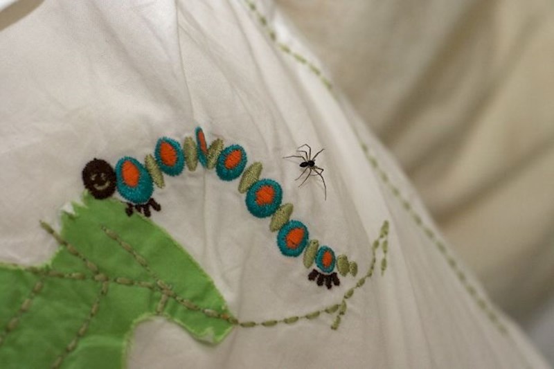 #9 Ljudi ne gutaju veliki broj pauka dok spavaju