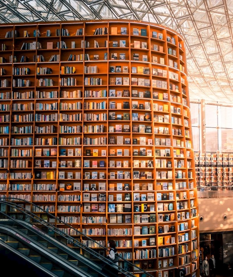 "Knjižnica u Seulu, kako će doći do knjiga koje su skroz gore?"